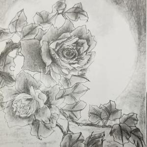 May-gallery